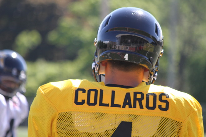 Collaros4