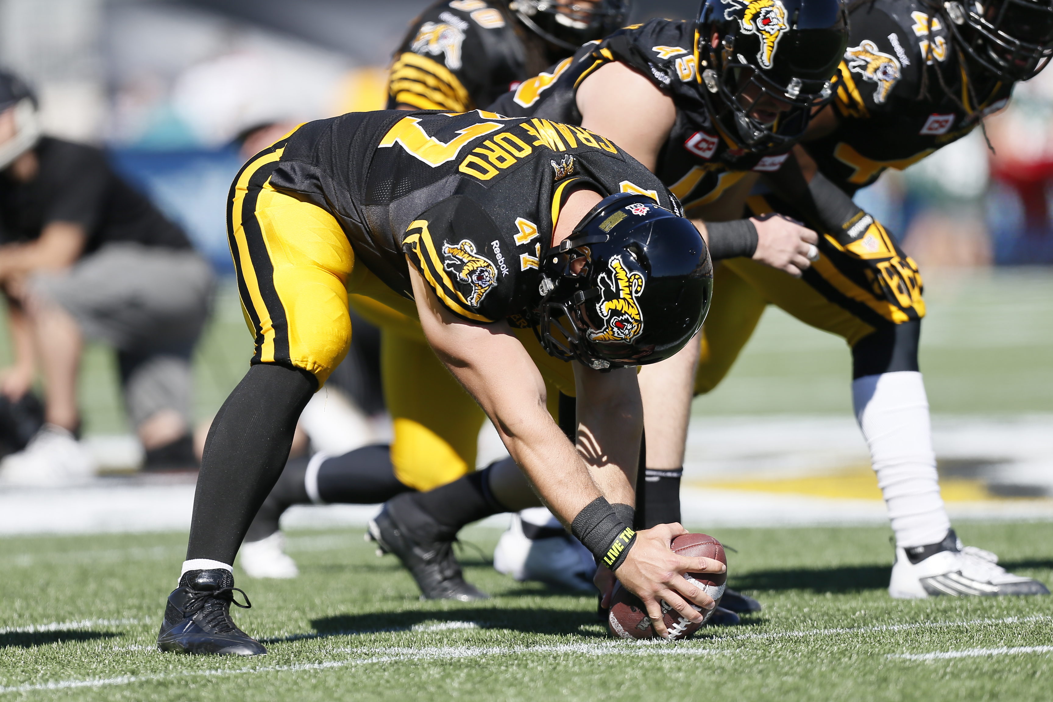 Aug 9, 2015; Hamilton, Ontario, Canada; Hamilton Tiger-Cats defeat the Winnipeg Blue Bombers38-8 at Tim Hortons Field. Mandatory Credit: John E. Sokolowski