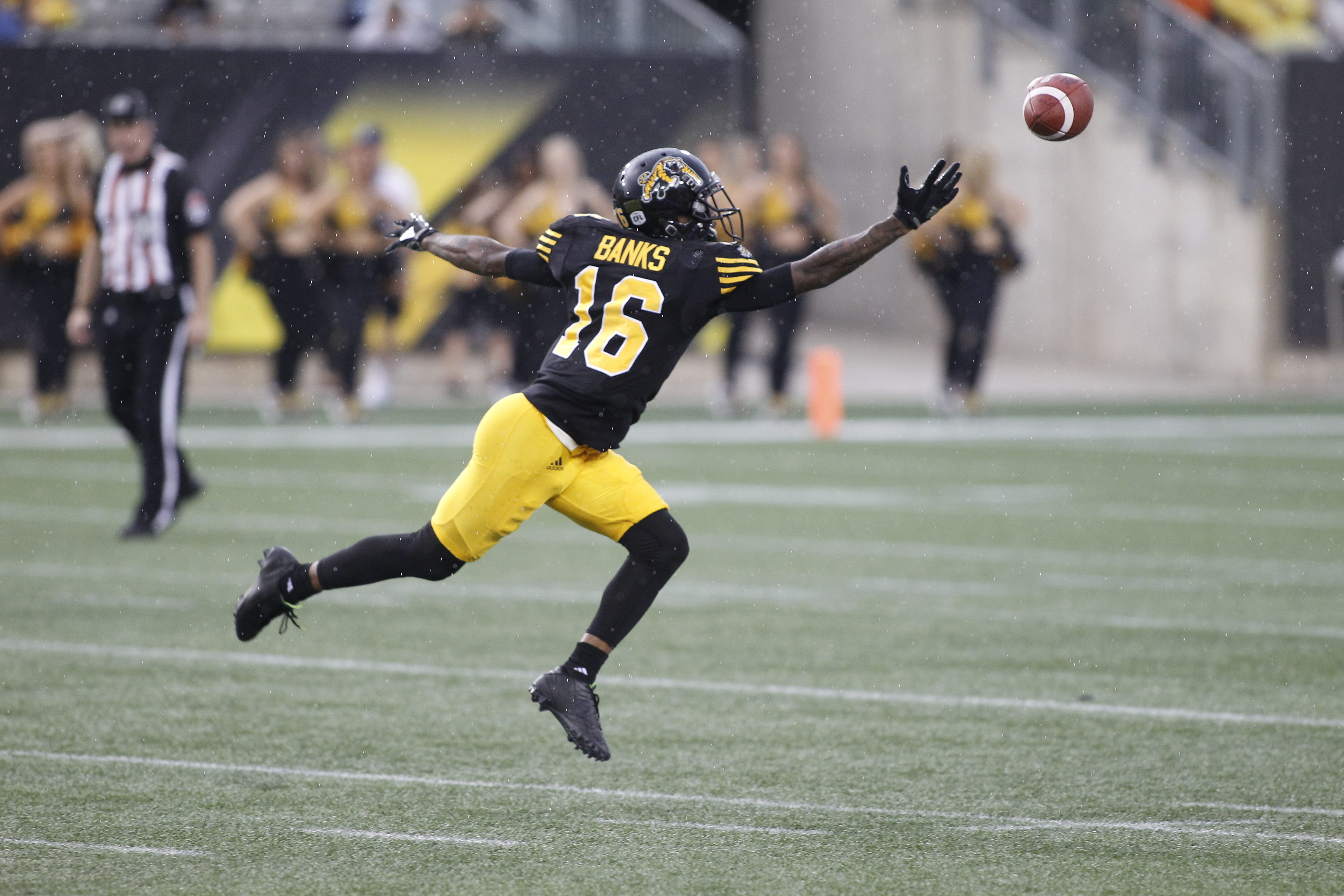 Sep 4, 2017; Hamilton, Ontario, CAN; Hamilton Tiger-Cats defeat the Toronto Argonauts 24-22 on Labour Day at Tim Hortons Field. Mandatory Credit: Eddie Sokolowski